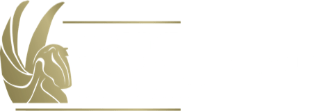 Académie des arts et techniques du jeu vidéo