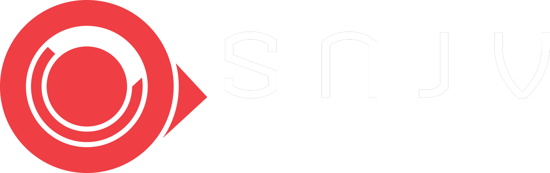 Syndicat National du Jeu Vidéo